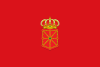 Bandera de la provincia Navarra